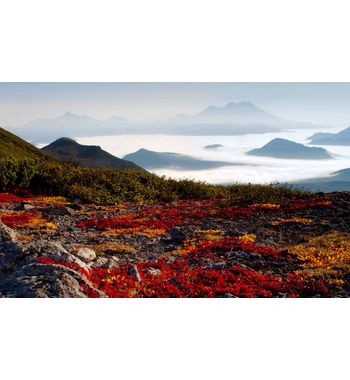 7 чудес Камчатки